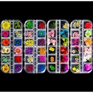 ANPHSIN 48 Colors Dried Flowers Nail Art- 48 Colors 4 Boxes Mini Natural Real Dry Flowers 3D Applique Art Resin Art Supplies for Nail Decoration Sticker Nail Tips Manicure ANPHSIN 48 Colors Dried Flowers Nail Art- 48 Colors 4 Boxes Mini Natural Real Dry Flowers 3D Applique Art Resin Art Supplies for Nail Decoration Sticker Nail Tips Manicure
